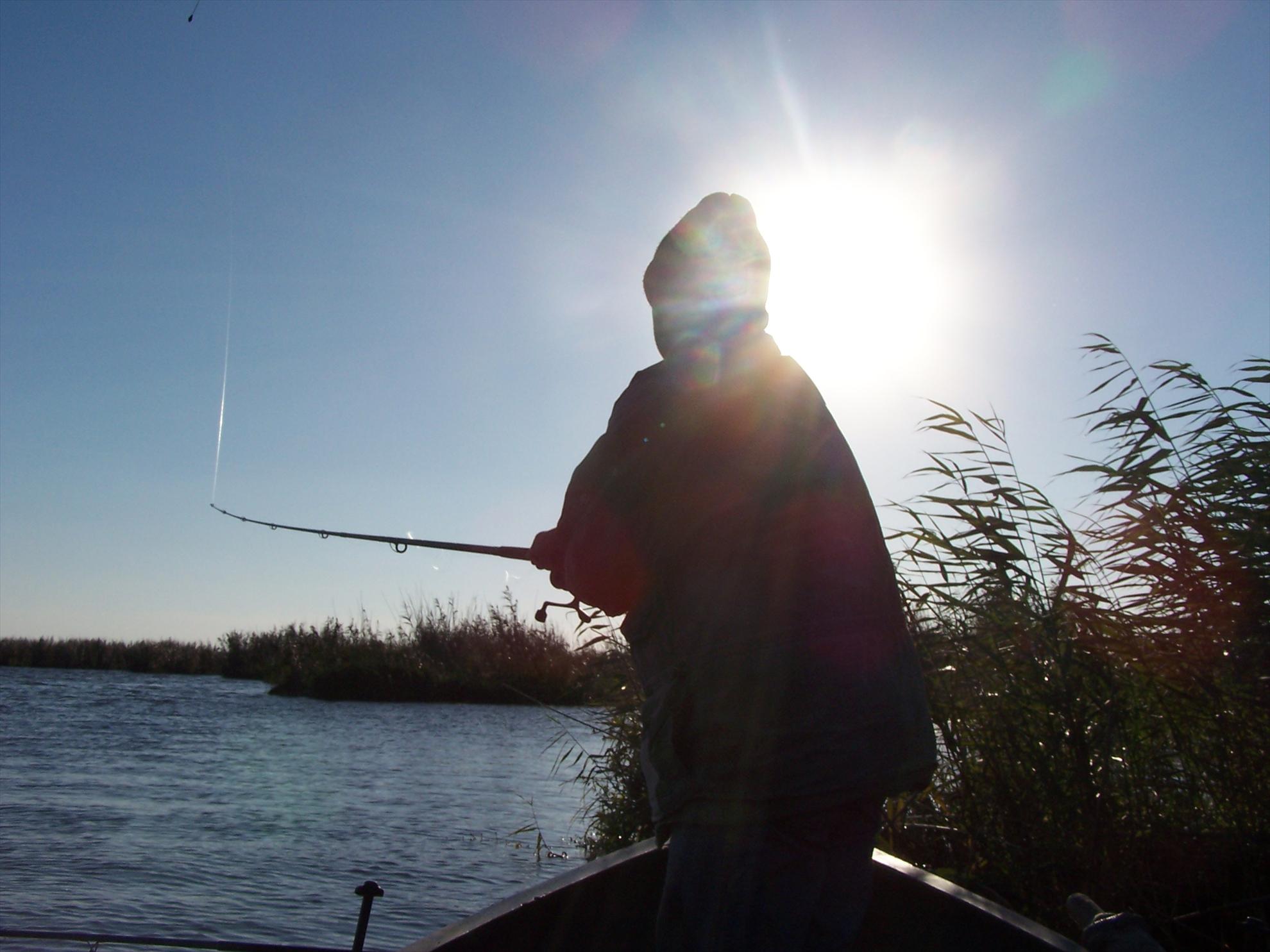 DIN DELTA - 9e83re2.jpg